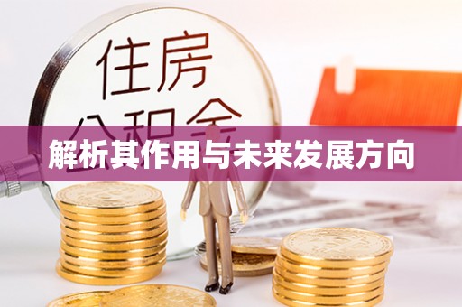 城阳解析其作用与未来发展方向